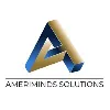 Ameriminds Solutions Inc Ameriminds Solutions Inc
