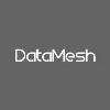 DataMesh DataMesh