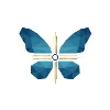 Metamorph Edu
