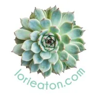 lorieaton.com