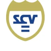 SCV SRL (Servicio Central de Vigilancia SRL)