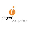 ICEGEN COMPUTING INC ICEGEN COMPUTING INC