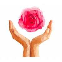 The Cannon Institute 