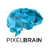 Pixel Brain Pixel Brain