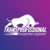 TransProfissional Transportes Urgentes TransProfissional Transportes Urgentes