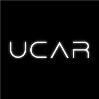 Undergraduate Consulting at Ross