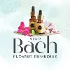 VIOR Bach Flower Therapy VIOR Bach Flower Therapy