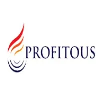 Profitous Capital Markets Pvt Ltd