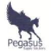 Pegasus Supply Solutions Pty Ltd Pegasus Supply Solutions Pty Ltd