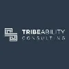 TribeAbility Consulting TribeAbility Consulting