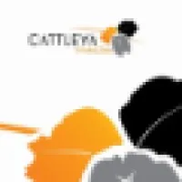 Cattleya Media Cattleya Media