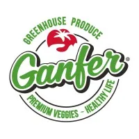 Ganfer Ganfer
