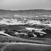 Stolpman Vineyards LLC