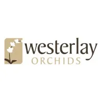 Westerlay Orchids