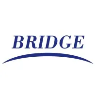 Bridge Professional Services