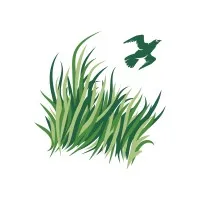 Sawgrass Country Club