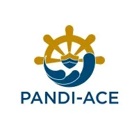 Pandi-ACE Inc.