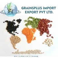 Grains Plus Import Export Pvt. Ltd.