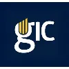 Global Investments Committee Global Investments Committee