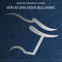 BullMark Financial Group BullMark Financial Group