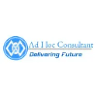 Ad Hoc Consultant Ad Hoc Consultant