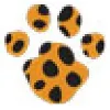 Active Recruitment Active Recruitment