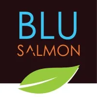Blu Salmon Studio
