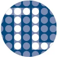 TrendLine Insights LLC