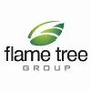FLAME TREE GROUP HOLDINGS FLAME TREE GROUP HOLDINGS