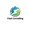 Flash Consulting Flash Consulting