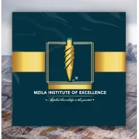 Mzila Institute Excellence