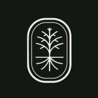 Nolia Roots