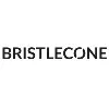 Bristlecone Bristlecone