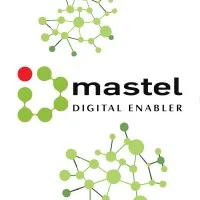 The Indonesian Telematics Society