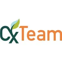 Commissioning Team LLC