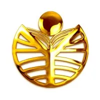 Raos Degree College, Nellore