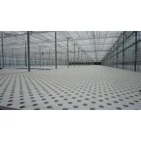 Pacer Profiles Pty Ltd