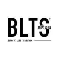 BLT STRATEGIES BLT STRATEGIES