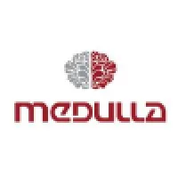 Medulla Productions & Consulting LLC