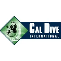 Cal Dive International email address