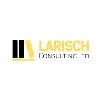 Larisch Consulting Larisch Consulting