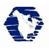Remis America LLC