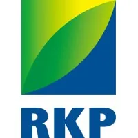 Rongke Power