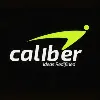 CALIBER INNO ENTERPRISE PRIVATE LIMITED CALIBER INNO ENTERPRISE PRIVATE LIMITED