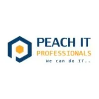 Peach IT Professionals Inc