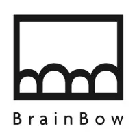 BrainBow Agency