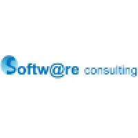 Software Consulting
