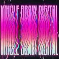 Whole Brain Digital LLC