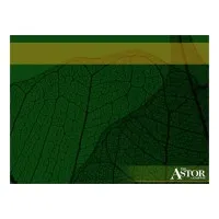 The Astor Company The Astor Company