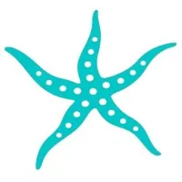 Starfish Foundation